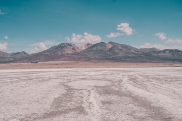 Reserva peruana de Salinas y Aguada Blanca