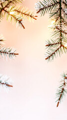 frosted pine branches against a soft pink background
