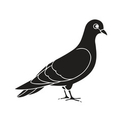 Dove silhouette vector style with white background.