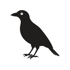 Mayna bird silhouette vector style with white background.