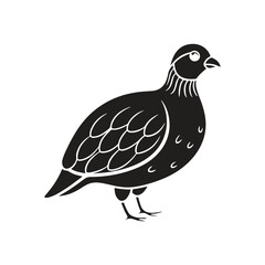 Quail bird silhouette vector style with white background.