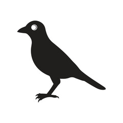 Skylark bird silhouette vector style with white background.