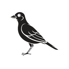 Skylark bird silhouette vector style with white background.