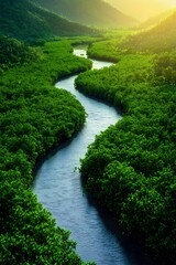 Fototapeta premium Aerial view of a river snaking through a dense greenery mangrove forest with golden sunlight shining through the canopy, abundant ecosystems with the beauty of the coastal wetlands. Generative AI