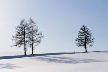 北海道　冬の美瑛の雪景色