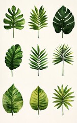 Fototapeta premium Watercolor painting of nine green leaves, perfect for adding a touch of nature to your designs.