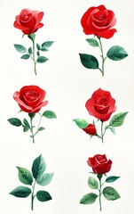 Fototapeta premium Five red roses with green leaves painted in a watercolor style against a white background.