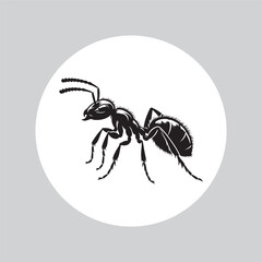 Ant insect Silhouette vector illustration