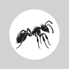 Ant insect Silhouette vector illustration