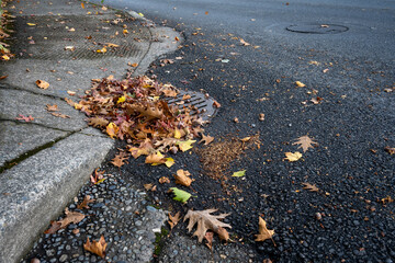Round iron stormwater drain in a city street next to a weathered concrete sidewalk with access ramp...