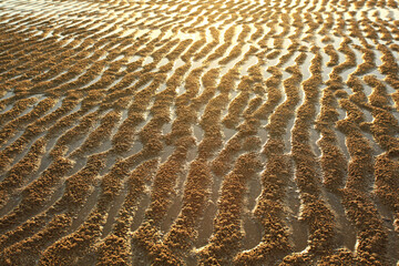 Sand streaks caused by lower sea levels at Sairee Beach, Chumphon Province, Thailand 