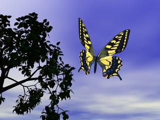 幻想的なアゲハチョウと空