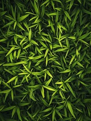 Fototapeta premium Lush green bamboo leaves densely packed, creating a vibrant tapestry of nature's beauty in a fresh and serene composition.