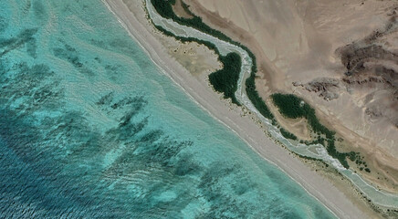 The sandy coast of Qatar in the Persian Gulf