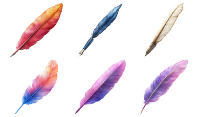 Isolated Feathers on Transparent Background
