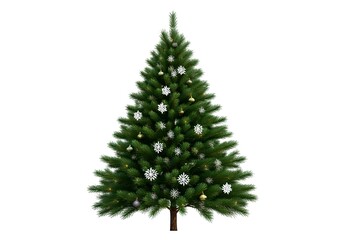 Fototapeta premium Christmas tree isolated on the white background, white snow, Christmas tree and Gift boxes.