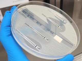 Methicillin sensitive and resistant staphylococcal isolates - E-test