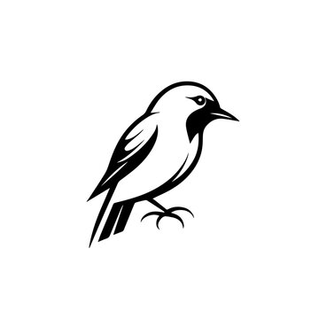 recommend clip art: Bird On Branch Thin Line Icon. Dove Icon on Black and White Vector Backgrounds. vector logo bird. bird line vector logo design icon.