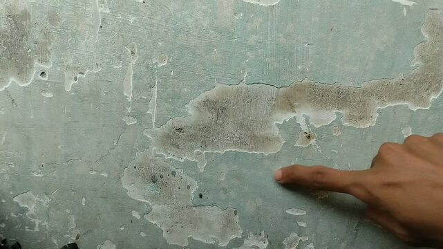 wall paint that is peeling because the wall is damp