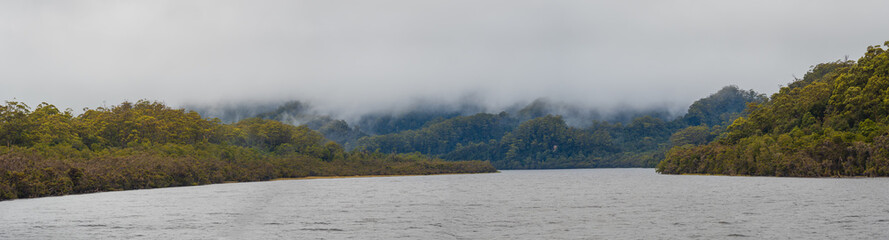 River and River Bank Panorama Tasmania