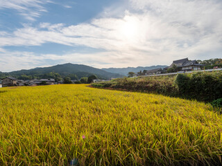 明日香村の橘寺前に広がる田園風景 © しょこまろん