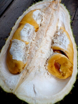 Bawor durian, Indonesia