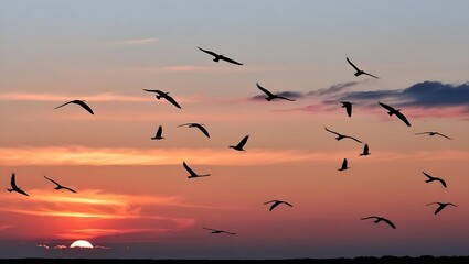 Naklejka premium Ethereal Mornings: The Tranquil Embrace of Dawn and Flight