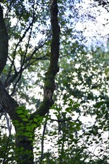 시루봉 용마산 아차산 망우산