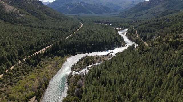 aerial shot of the Caleuf&uacute; River winding through the lush pine forests in Villa Meliquina, Argentina. The landscape is dominated by vast green forests, including pines, coihue, and lenga trees.