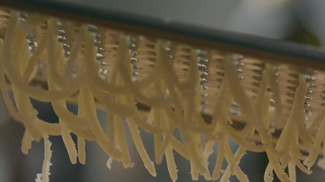 Fine shreds of hard cheese being grated over a dish with metal grater. Extreme close-up shot