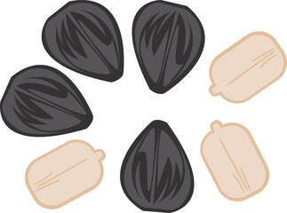 sunflower seeds simple illustration set