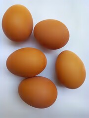 Nature eggs on a white background
