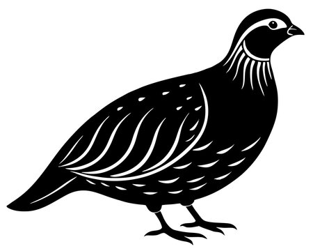 recommend clip art: partridge bird silhouette vector black illustration 
