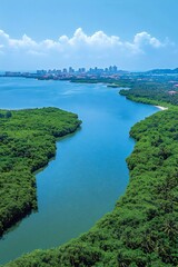 Obraz premium Aerial view of mangroves along the estuary with cityscape skyline in the background. Generative AI