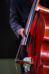 Bassist about to pluck a string