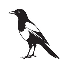 Magpie bird silhouette vector illustration, Magpie  black and white vector logo