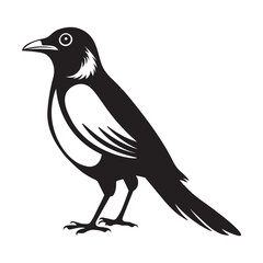 Magpie bird silhouette vector illustration, Magpie  black and white vector logo