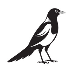 Magpie bird silhouette vector illustration, Magpie  black and white vector logo
