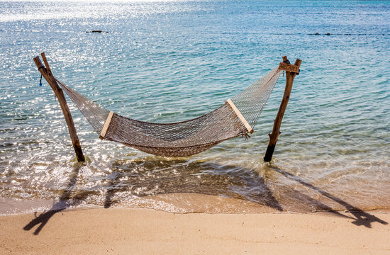 Hamac de relaxation sur plage paradisiaque 