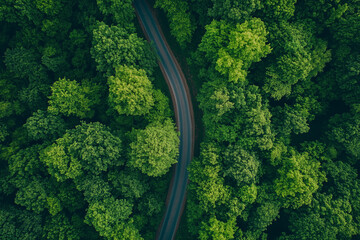 Aerial View of Winding Road Through Lush Green Forest