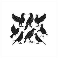 Bird silhouettes clip art