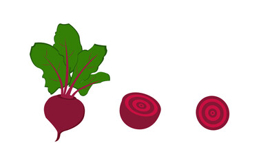 radish isolated on white background. set of beetroot whole and sliced.