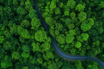 Aerial View of Winding Road Through Lush Green Forest
