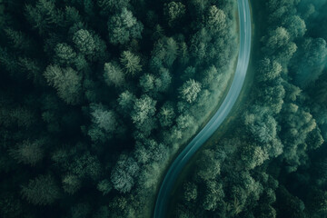 Aerial View of Winding Road Through Lush Green Forest