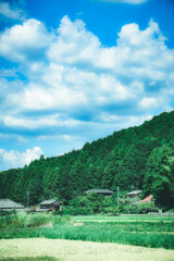 日本の夏の風景