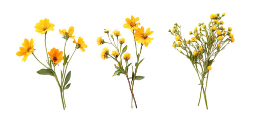 three set of A bunch of yellow flowers isolated transparent background