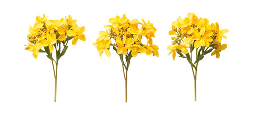 three set of A bunch of yellow flowers isolated transparent background