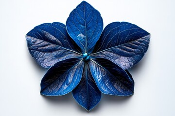 Commelina petals in a minimalist blue outline, with a soft gradient filling the petals