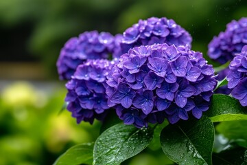 Fototapeta premium Lilac bush in a futuristic biodome, with clusters of purple flowers growing in perfect symmetry under a glowing sky