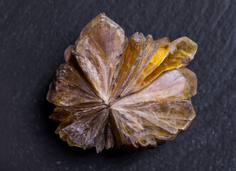 Yellow calcite mineral crystals captured in stunning detail, highlighting their vibrant color and unique geometric shapes for geology enthusiasts